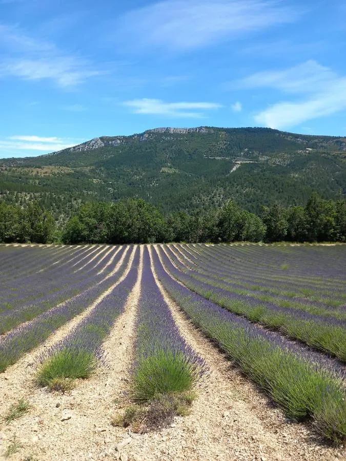 Villa La plume du Ventoux à Mollans-sur-Ouvèze